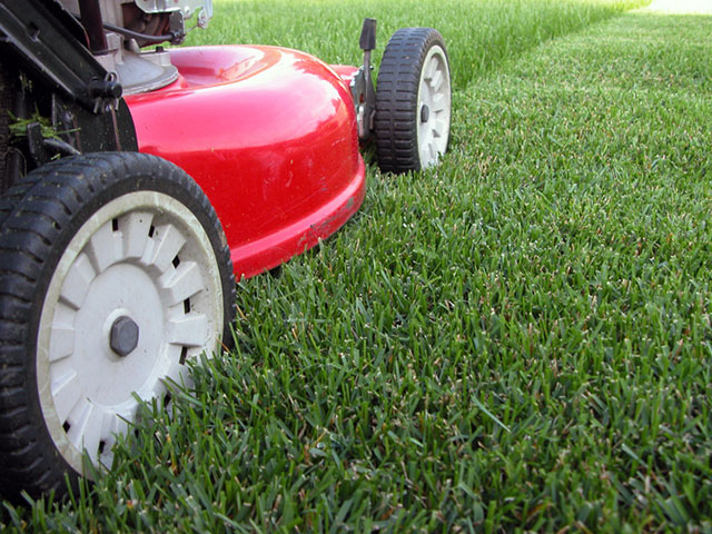 Lawn Mowing